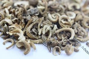 讳兵畏刑成语接龙游戏