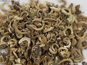 坚持是人生必修课_初一作文_3401白狼完美作文