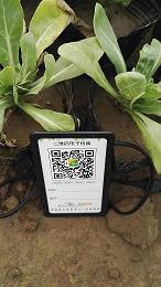在挫折中成长