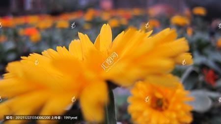 稳稳当当成语接龙游戏