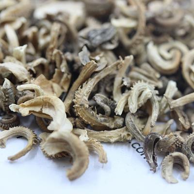 闷闷不乐造句-用闷闷不乐怎么造句