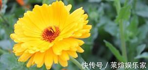 中秋、夜未央