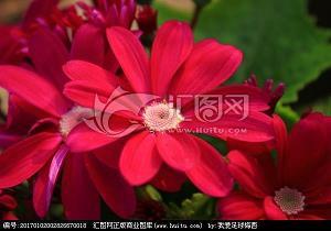 以儆效尤成语接龙游戏