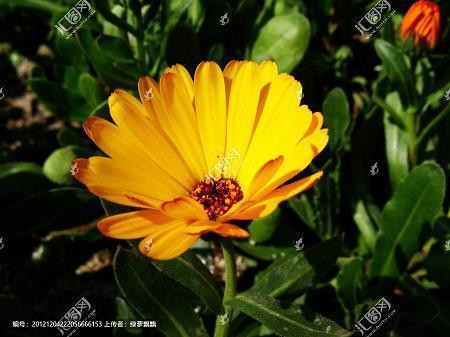 见多识广造句-用见多识广怎么造句