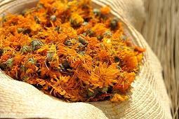 药到病除造句-用药到病除怎么造句