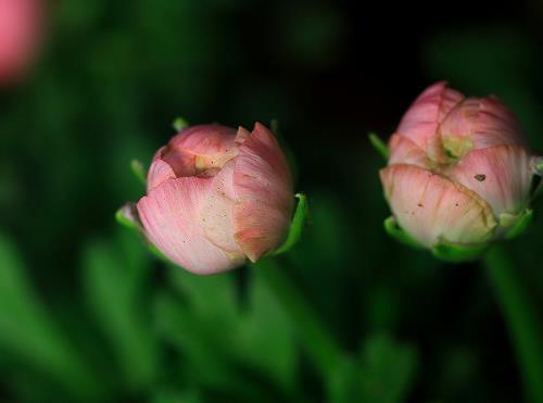 5月21日，我的倒霉日