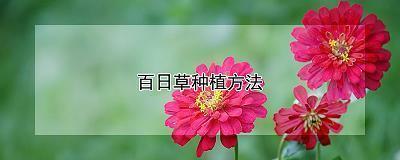 剑门游记
