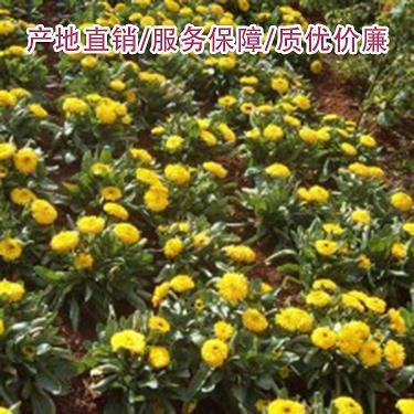 书法