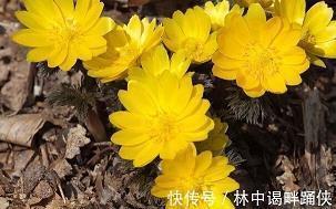 经年累月造句-用经年累月怎么造句