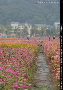 Iamproudofyou-China