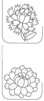 别拿青春赌明天