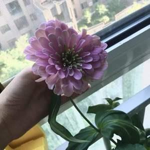 燎原之火成语接龙游戏