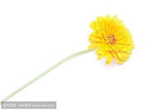 威风凛凛造句-用威风凛凛怎么造句