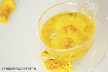 以身试法成语接龙游戏