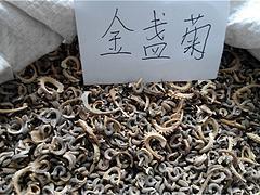 发扬光大造句-用发扬光大怎么造句