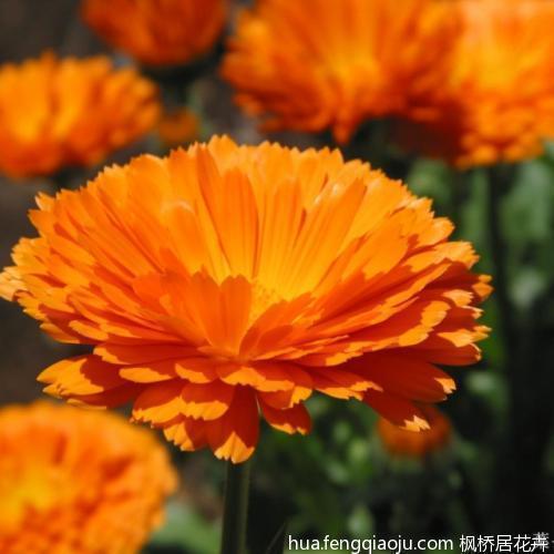 当之有愧成语接龙游戏