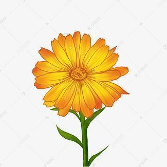 2020春节疫情感动作文