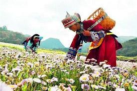 太空遨游记