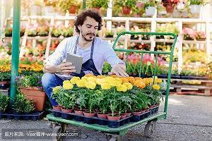 破桐之叶成语接龙游戏