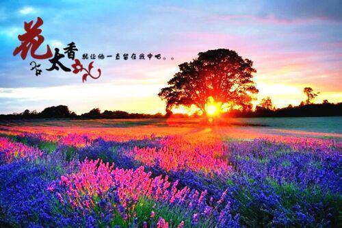 忽冷忽热成语接龙游戏