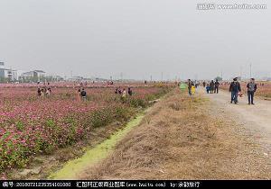 寓言十九成语接龙游戏