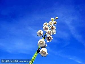 一个热爱单杠运动的人