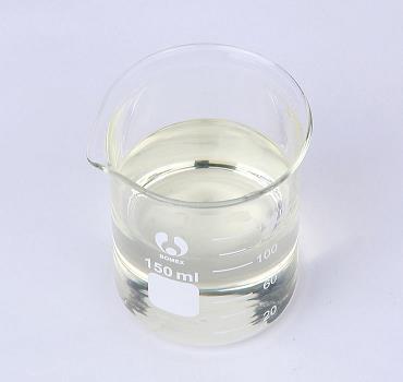 动物学校运动会