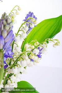 菩萨打一成语