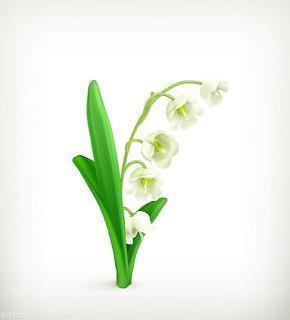 以强凌弱造句-用以强凌弱怎么造句