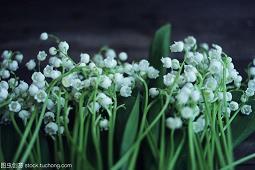 ——读《夏落的网》有感