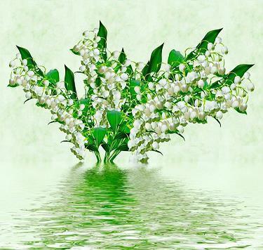 花香鸟语造句-用花香鸟语怎么造句