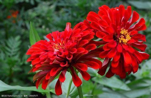 中秋节