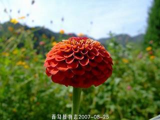 六合之内成语接龙游戏