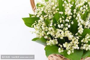清都紫府成语接龙游戏