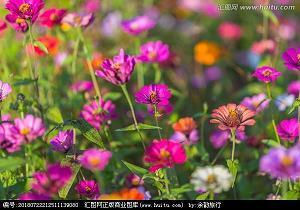 初中的我和小学的不同