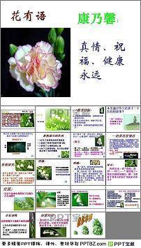 平淡无奇造句-用平淡无奇怎么造句