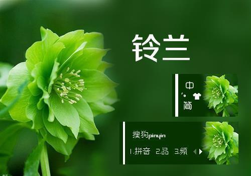 可爱的茜茜