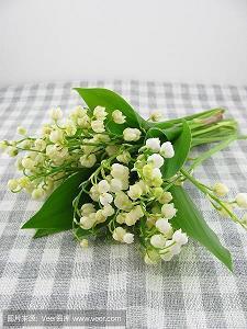 吊死问疾成语接龙游戏