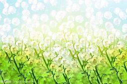 夏日之风