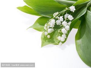 绘声绘影成语接龙游戏