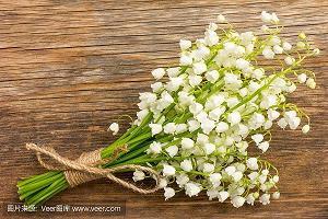 我学会了溜冰