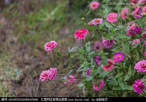 不绝若线成语接龙游戏