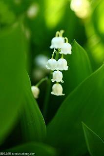 留芳千古成语接龙游戏