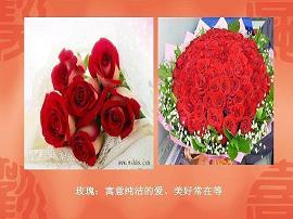瑚琏之器成语接龙游戏