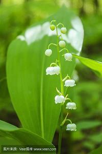 中考后，别离