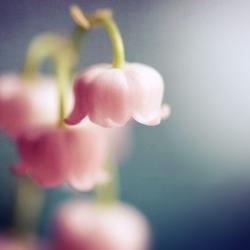 摇席破座成语接龙游戏