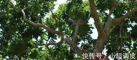 不世之业造句-用不世之业怎么造句