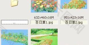 家乡的深冬