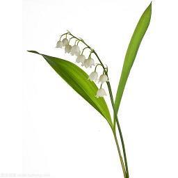 万泉河漂流