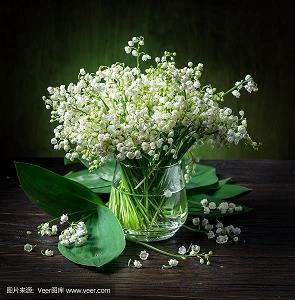 一月我和新年